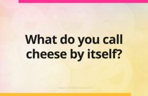 What do you call cheese by itself?