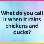 What do you call it when it rains chickens and ducks?
