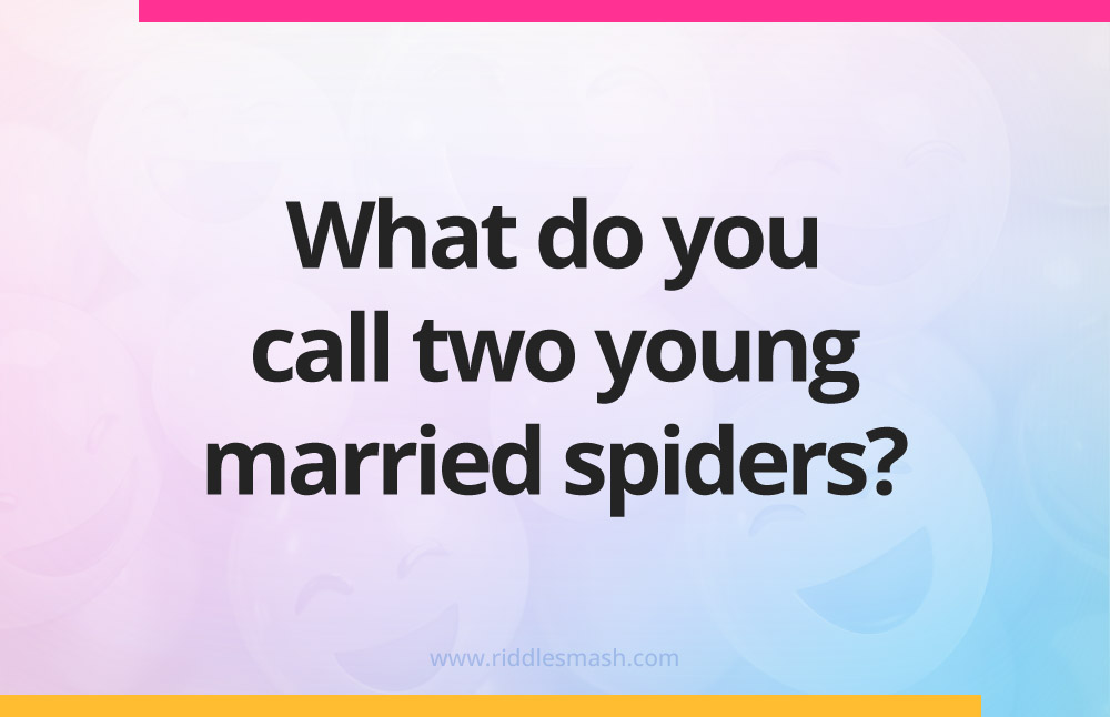 What do you call two young married spiders?