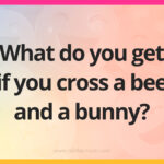 What do you get if you cross a bee and a bunny?