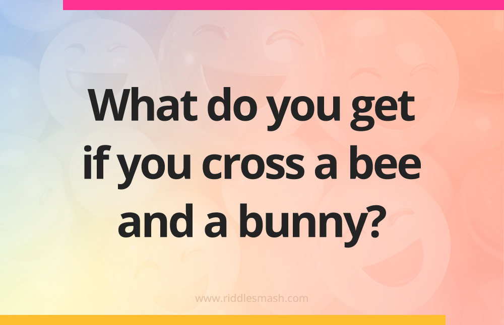 What do you get if you cross a bee and a bunny?