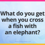 What do you get when you cross a fish with an elephant?