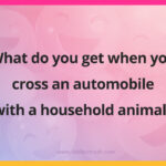 What do you get when you cross an automobile with a household animal?