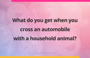 What do you get when you cross an automobile with a household animal?