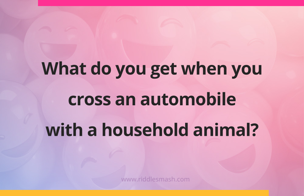 What do you get when you cross an automobile with a household animal?