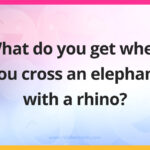 What do you get when you cross an elephant with a rhino?
