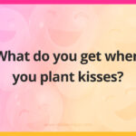 What do you get when you plant kisses?