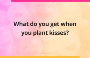 What do you get when you plant kisses?