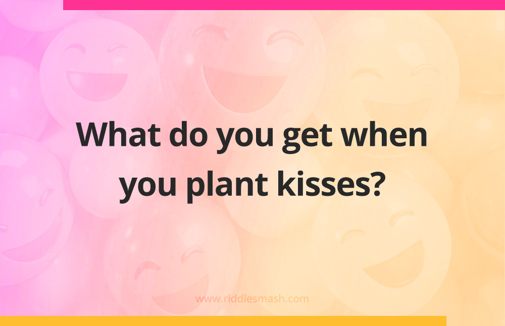 What do you get when you plant kisses?
