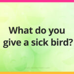 What do you give a sick bird?