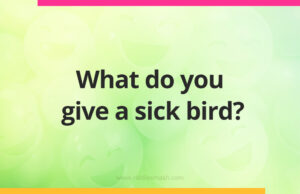 What do you give a sick bird?