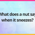 What does a nut say when it sneezes?