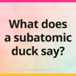 What does a subatomic duck say?