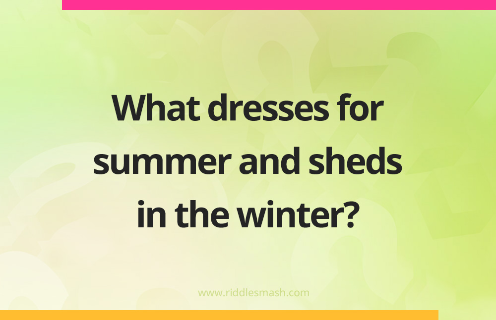 What dresses for summer and sheds in the winter?