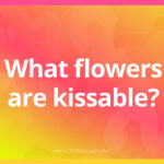 What flowers are kissable?