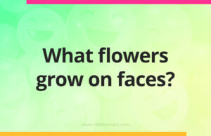 What flowers grow on faces?
