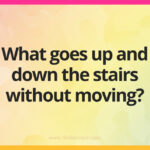 What goes up and down the stairs without moving?
