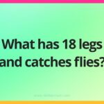 What has 18 legs and catches flies?