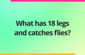 What has 18 legs and catches flies?