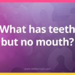 What has teeth but no mouth?