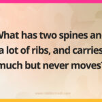 What has two spines and a lot of ribs, and carries much but never moves?