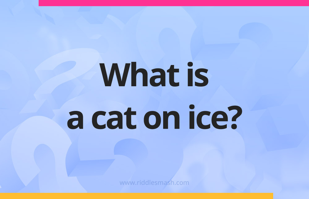 What is a cat on ice?
