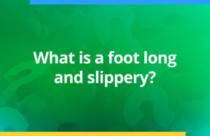 What is a foot long and slippery?