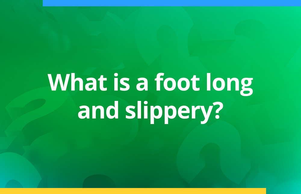 What is a foot long and slippery?