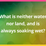What is neither water nor land, and is always soaking wet?