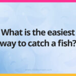 What is the easiest way to catch a fish?