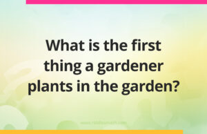 What is the first thing a gardener plants in the garden?