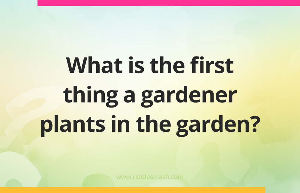 What is the first thing a gardener plants in the garden?