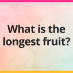 What is the longest fruit?