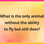 What is the only animal without the ability to fly but still does?