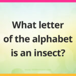 What letter of the alphabet is an insect?