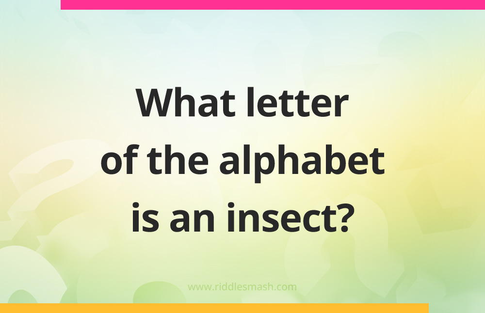 What letter of the alphabet is an insect?