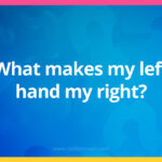 What makes my left hand my right?