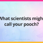 What scientists might call your pooch?