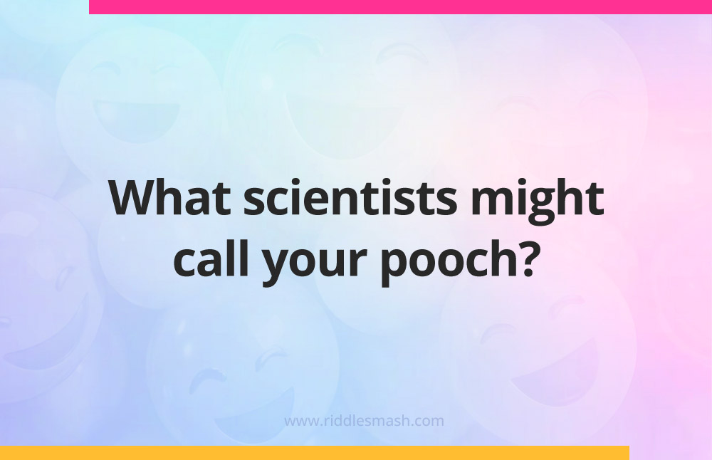 What scientists might call your pooch?