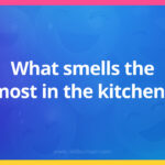 What smells the most in the kitchen?