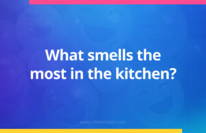 What smells the most in the kitchen?