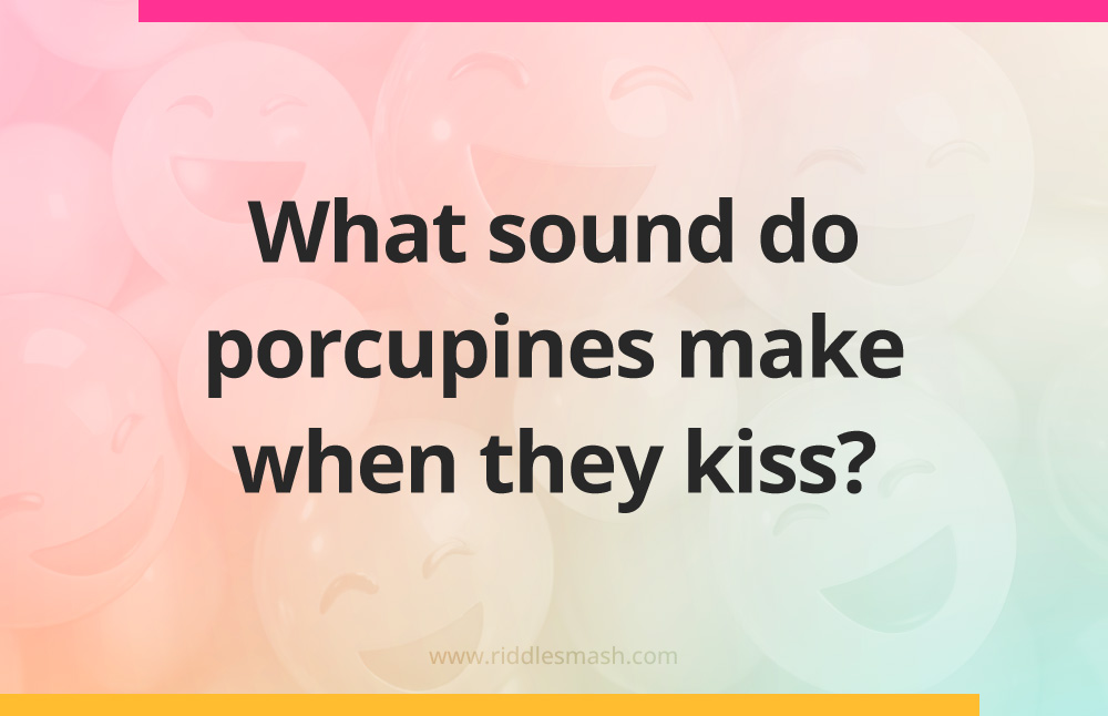 What sound do porcupines make when they kiss?