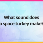 What sound does a space turkey make?