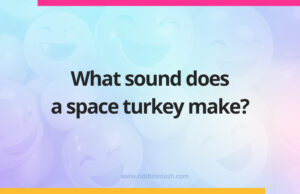 What sound does a space turkey make?