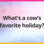 What's a cow's favorite holiday?