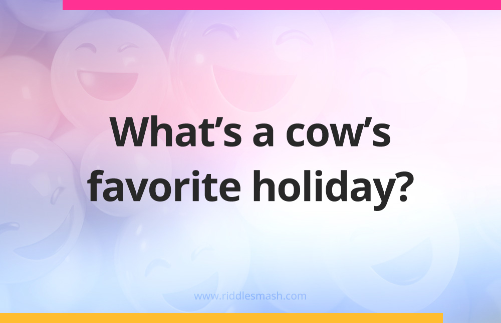 What's a cow's favorite holiday?