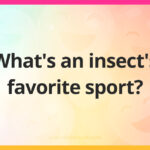 What's an insect's favorite sport?