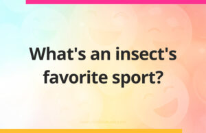 What's an insect's favorite sport?