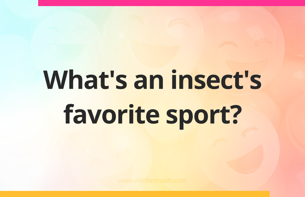 What's an insect's favorite sport?