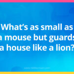 What's as small as a mouse but guards a house like a lion?